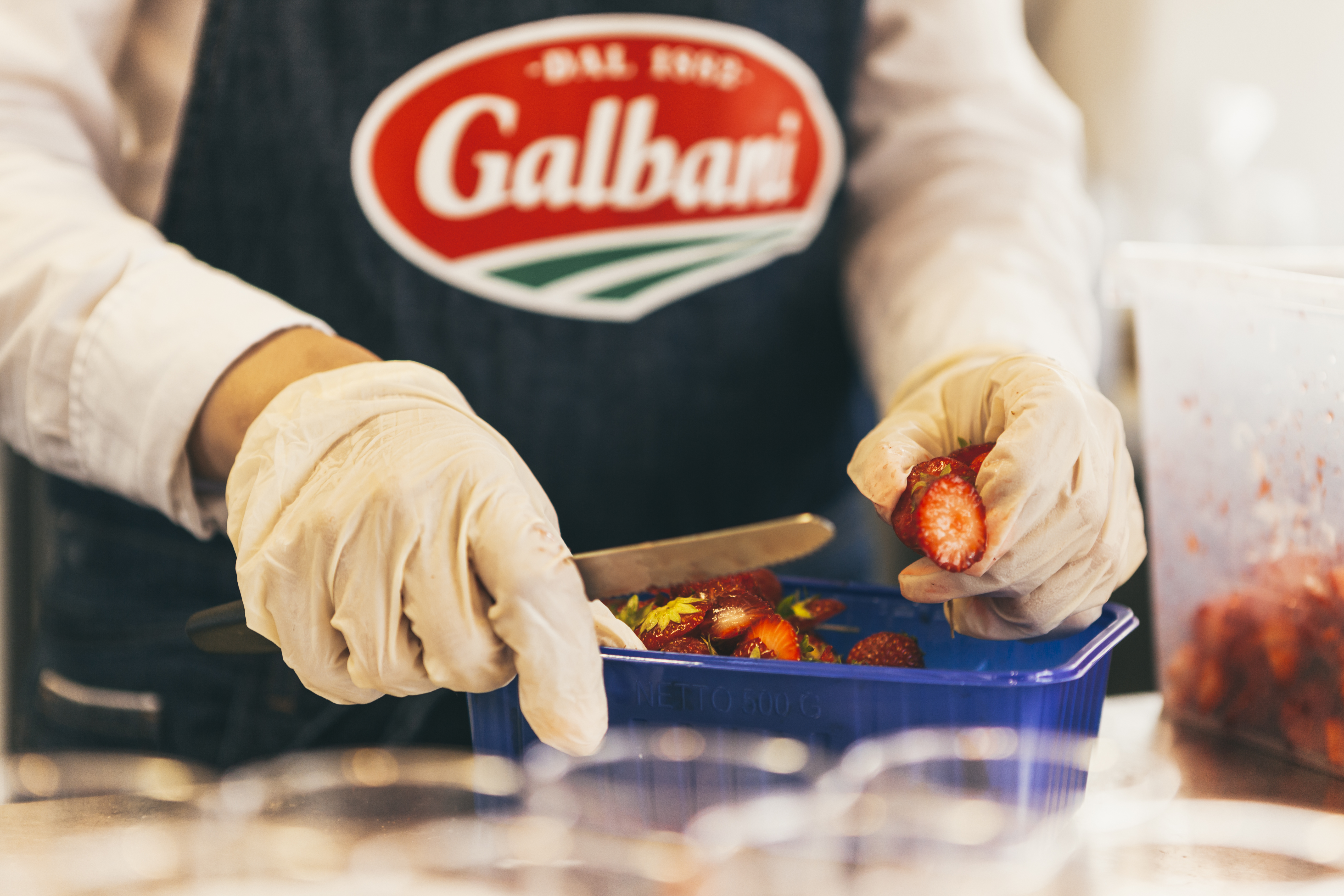 galbani_salakis (2)